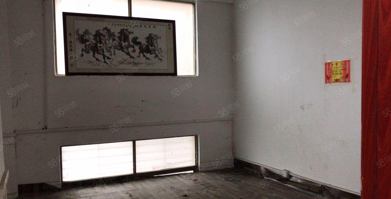 常平新出一楼700平高6米厂房工业用地