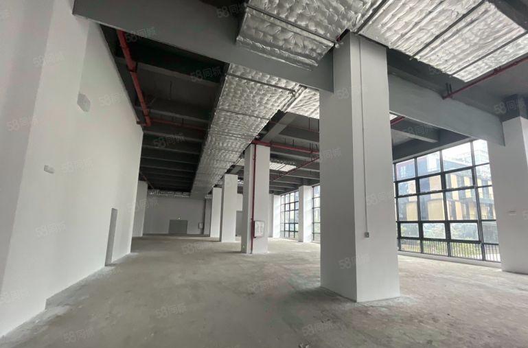 东莞雁田全新厂房招租 大小面积可分租 免租长适各行业看中可谈