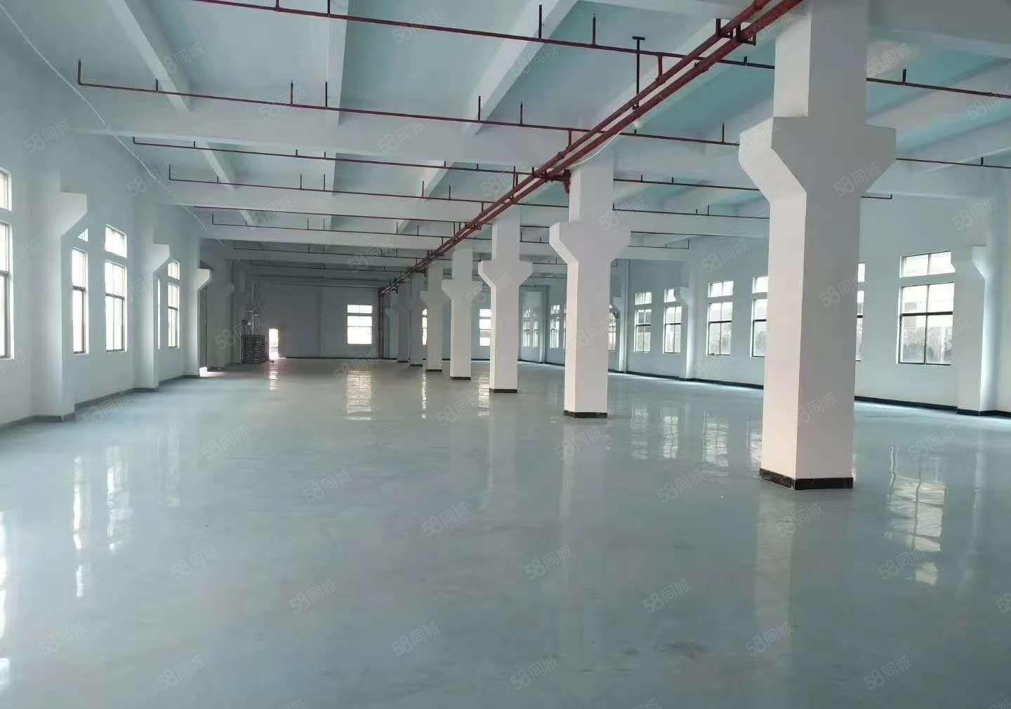 常平原房东厂房出租一楼6米高带牛角位1千平现成办公室园形象好