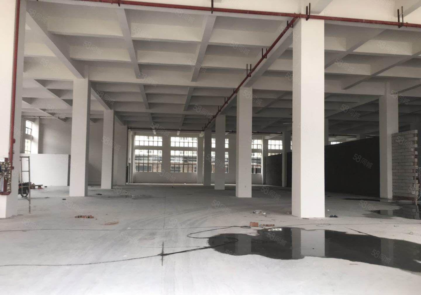 常平新出原房东自建标准厂房对外低价出租