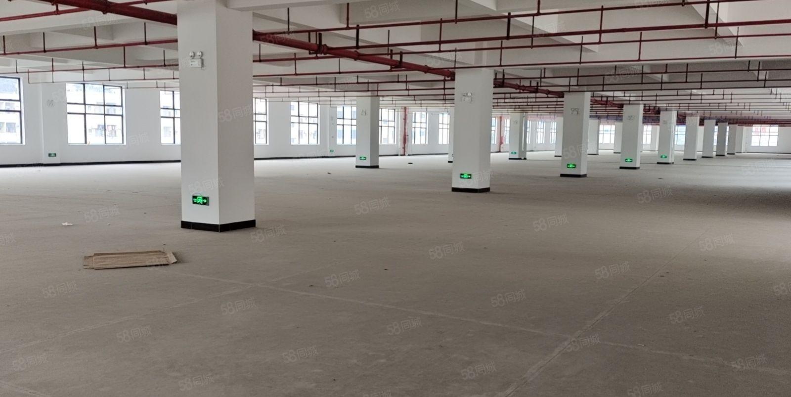 东莞常平镇原房东标准厂房全新30000平方出租，可办环评