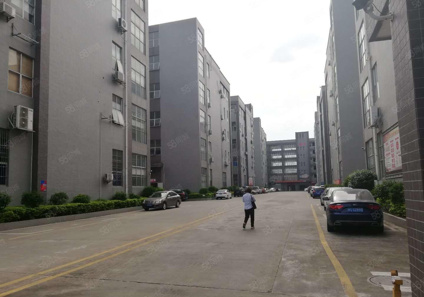 常平袁山贝新出工业园一楼1500平方7高厂房招租带牛角形象好