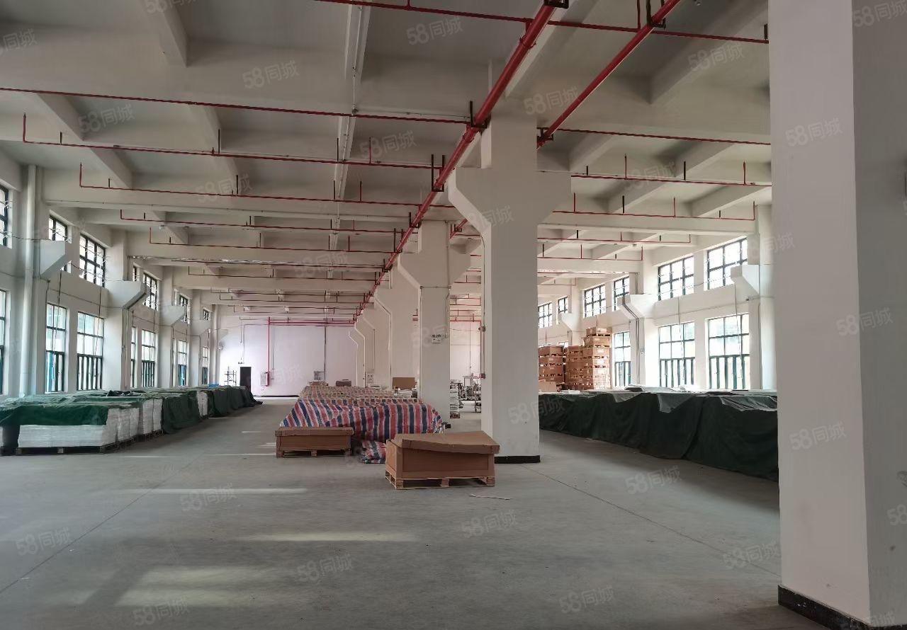 常平新出红本独院分租一栋五层10000平方，大小可分租