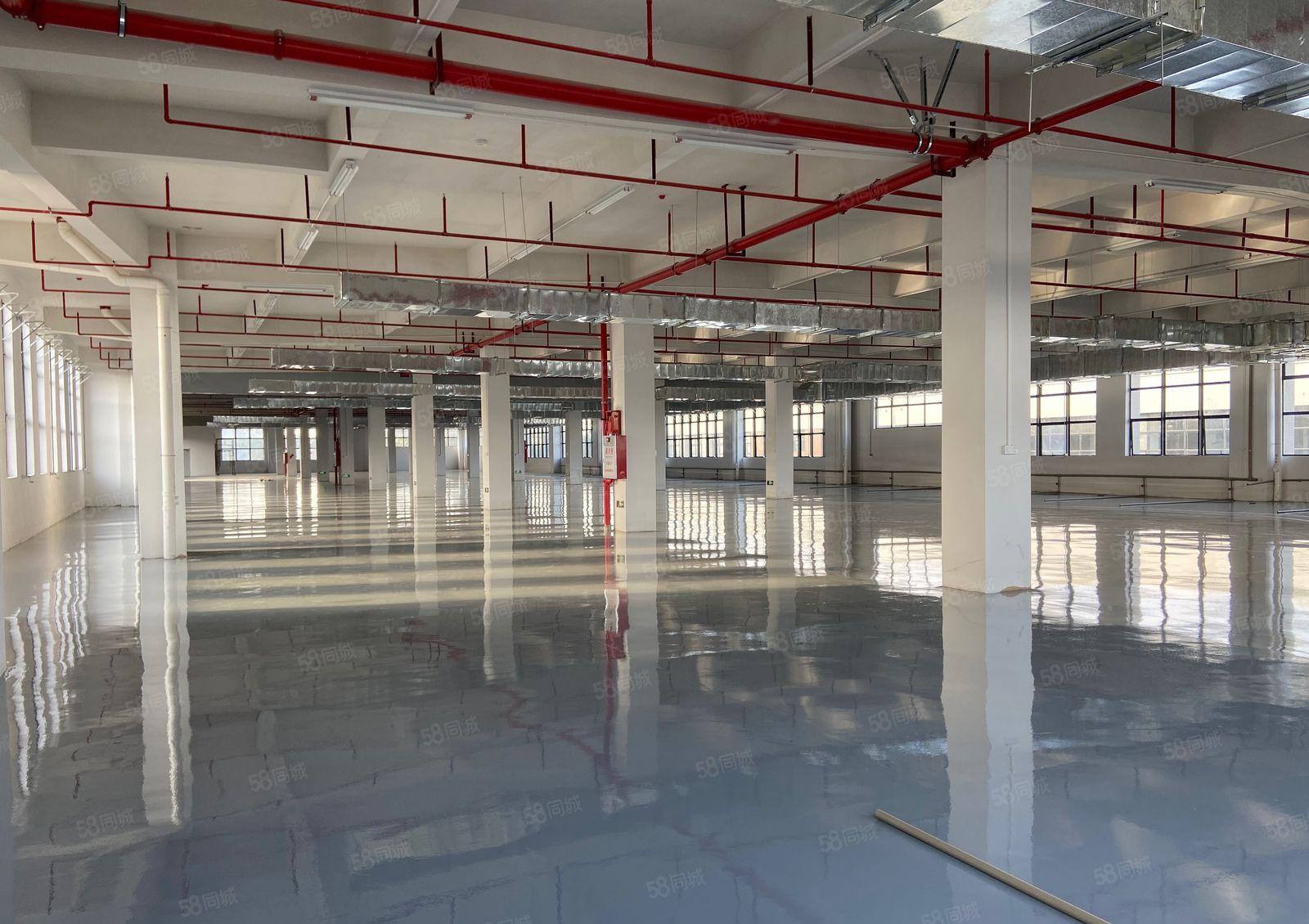 常平原房东红本独院18000平方，可分层租，带卸货平台