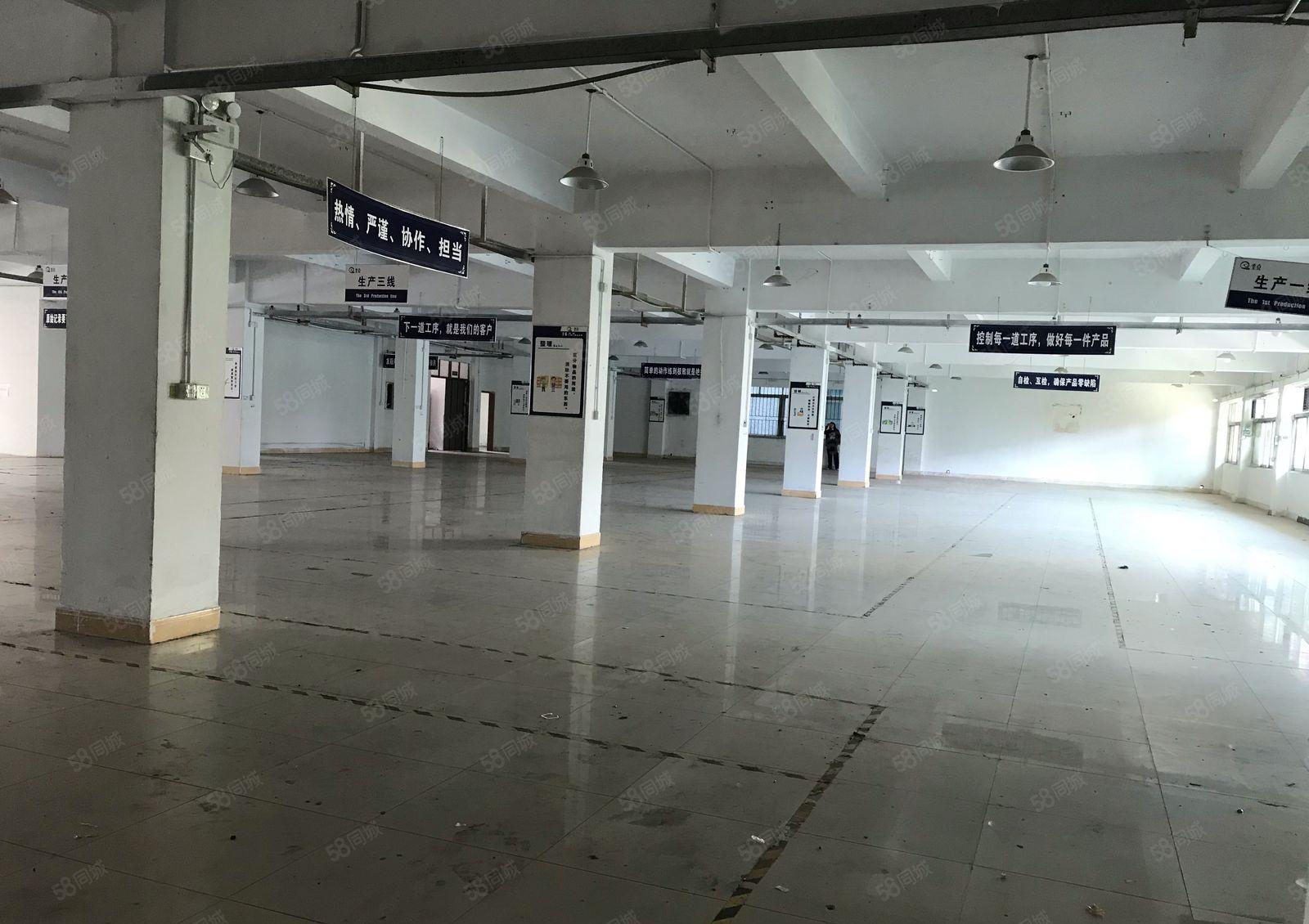 常平新出独门独院厂房5280平