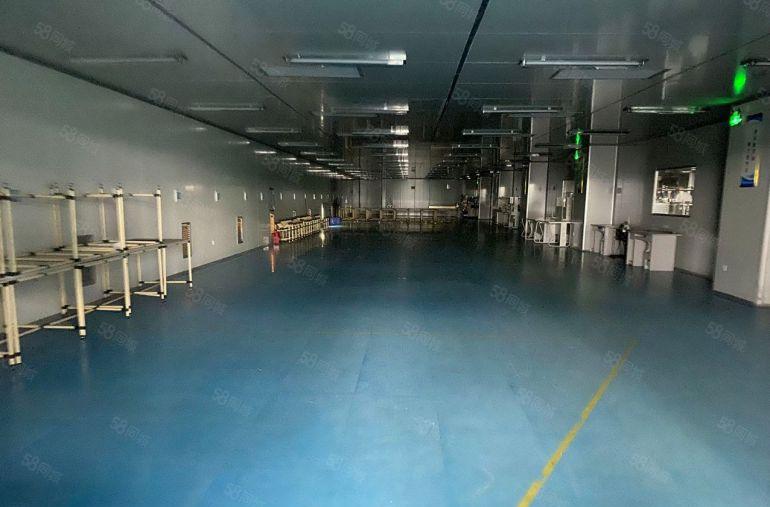 常平镇大型工业园分租2000平方一层，形象大气，交通便利