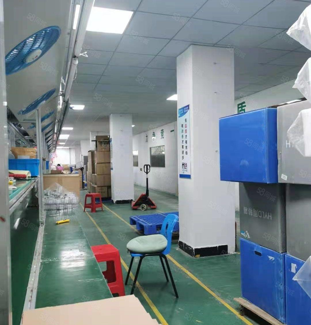 常平靠近大朗苏坑工业区新空厂房二楼1550平方带装修水电齐全