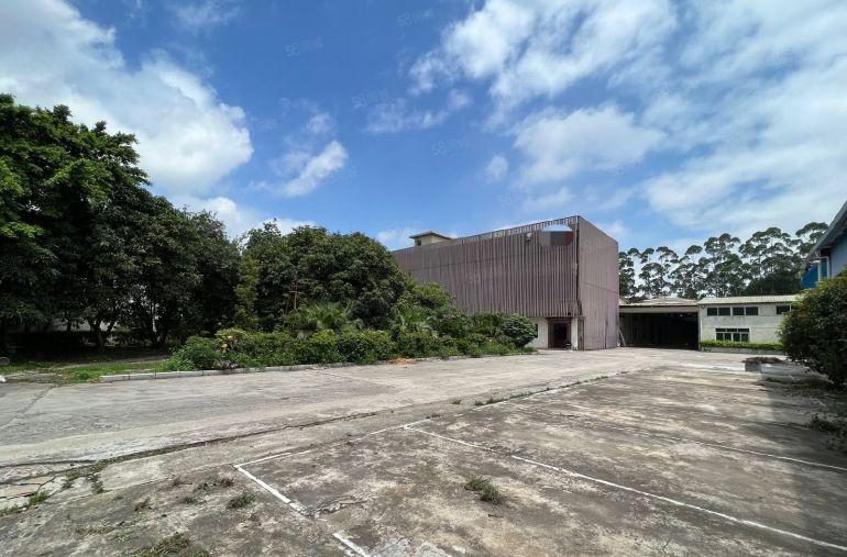 常平司马原房东单一层1万平方，带独立办公楼，消防喷淋