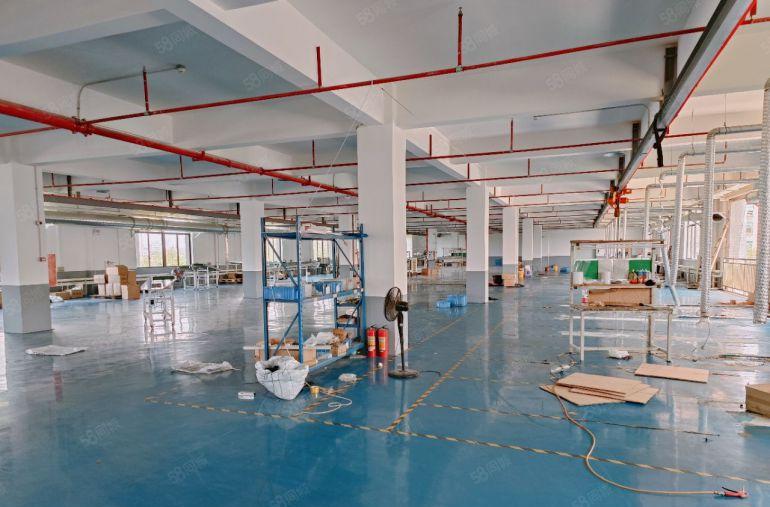 常平原房东新出标准厂房急租，带现成航吊，地坪漆，精装修办公室