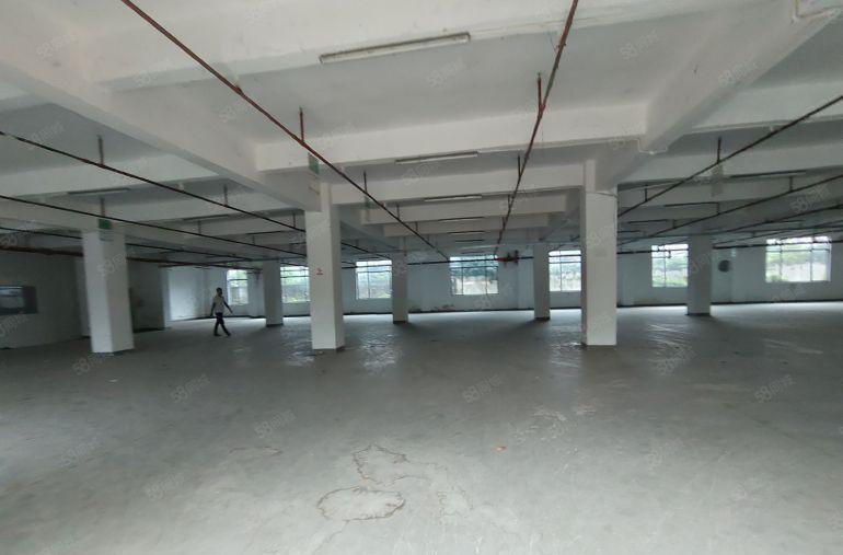 东莞常平新出原房东独门独院，独立办公楼，实际面积无公摊