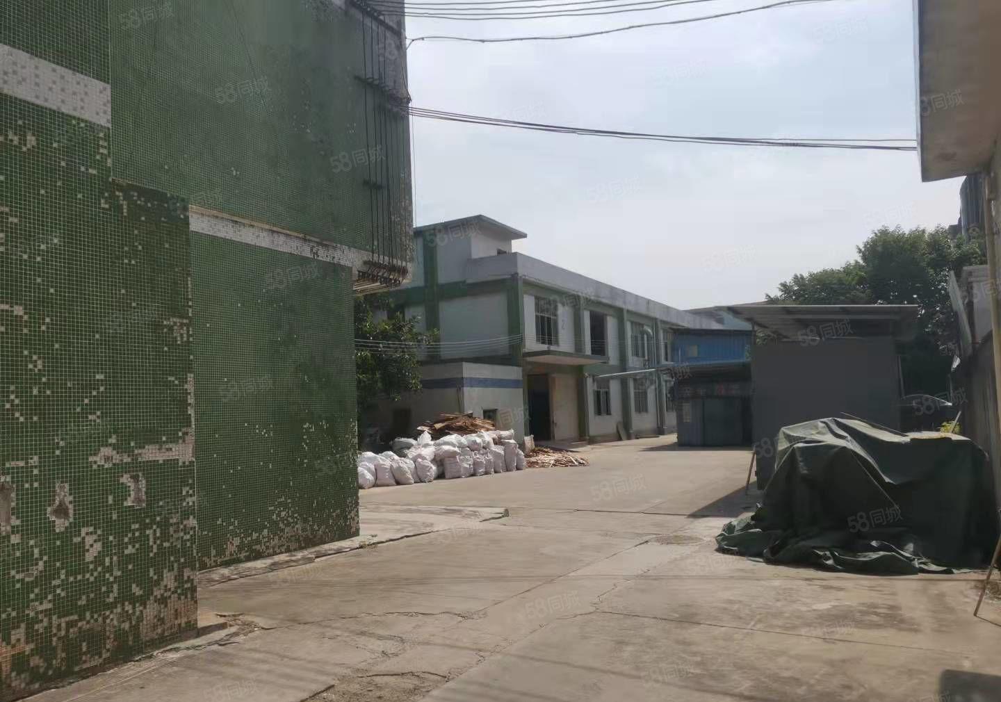 （实图）桥沥原房东独院4500平可办环评工业用地消防验收合格