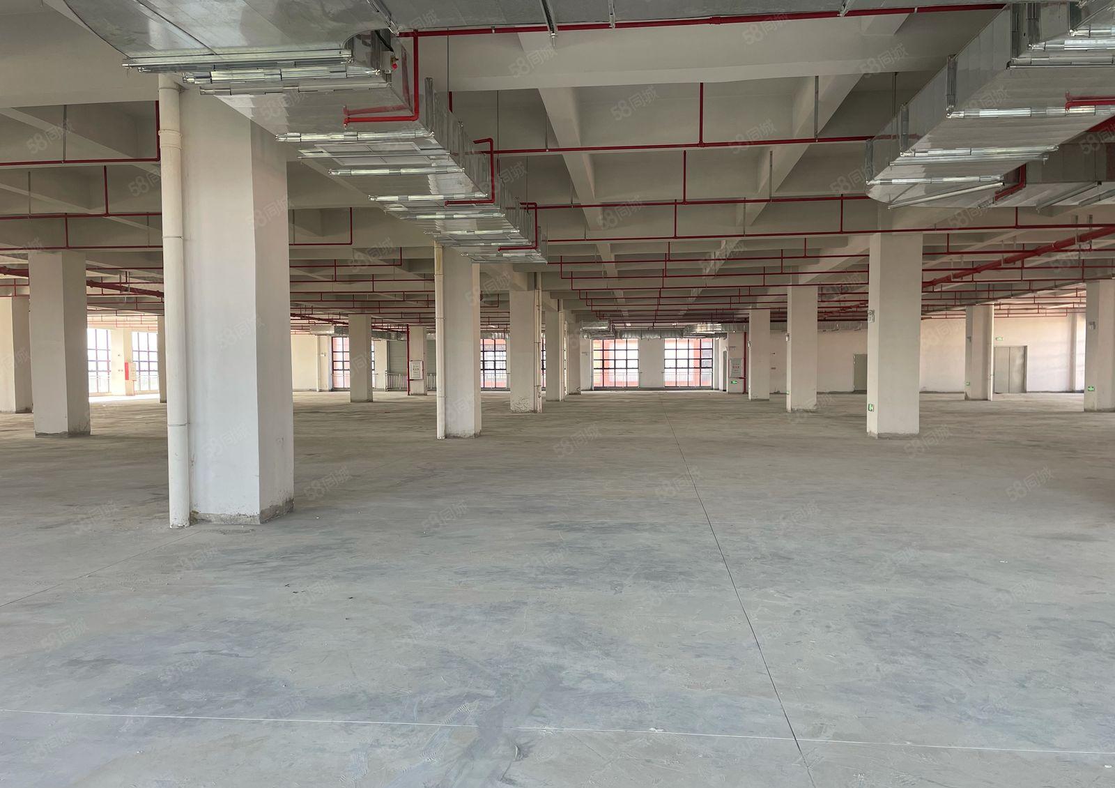 1000平起租临时仓库常平镇环城路新建园区5万平