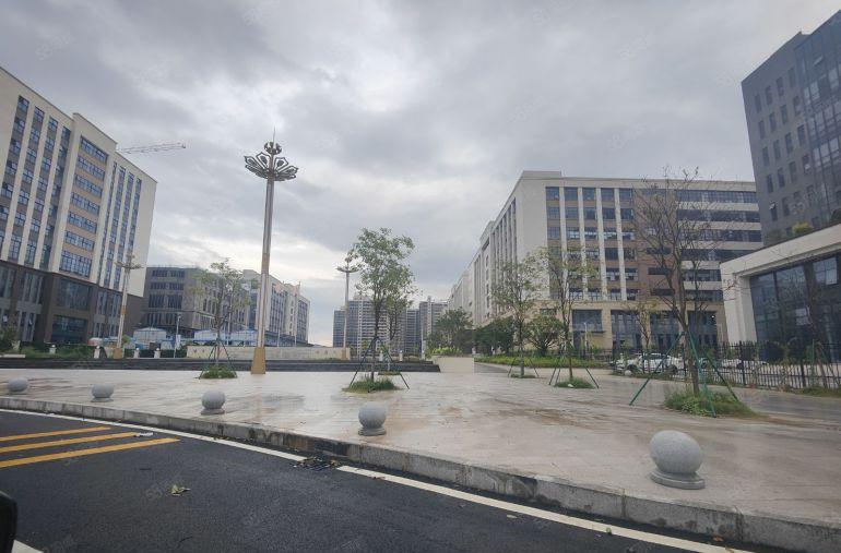 常平镇高新技术产业园出租原房东标准厂房带红本1500平方起分