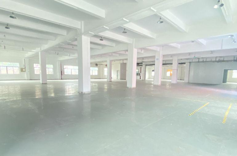 常平原房东一楼，实量面积出租，带地坪漆，光线好，价格便宜！