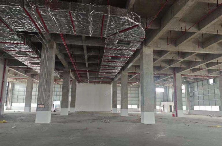 常平新出原房东独门独院18000平红本厂房适合冻库物流仓库等