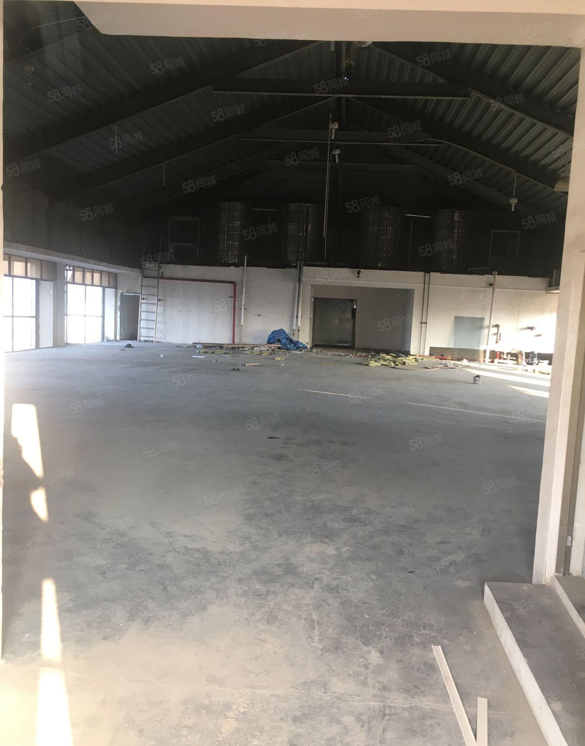 常平镇陈屋贝厂房出租