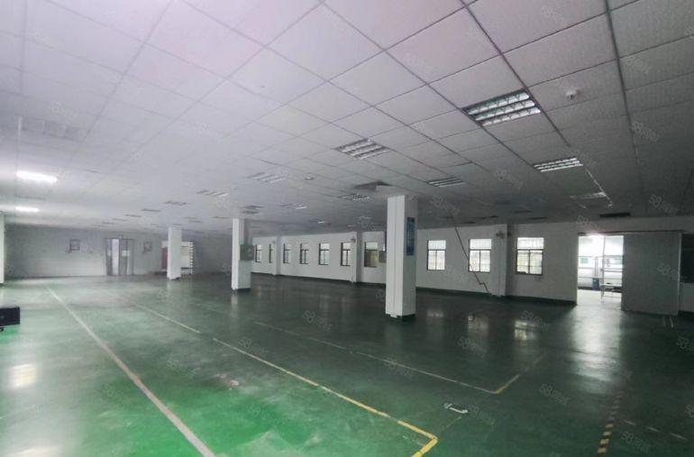 常平桥沥原房东3000平方，首层6米，豪华装修