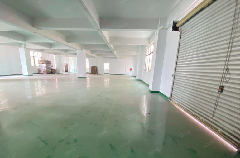 全新楼上 550平  适合电商电子组装加工等等