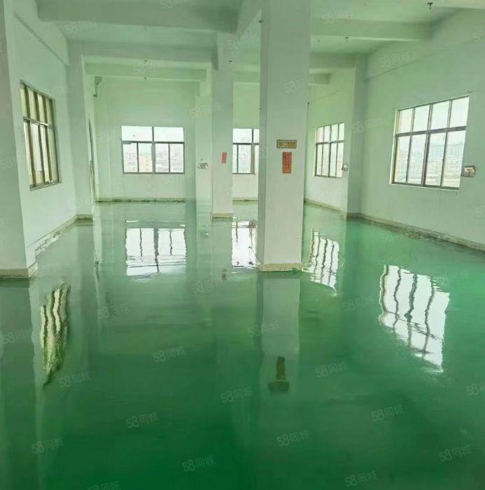 常平镇靠大朗一楼3500平方可分租层高8米精装修办公室带行车