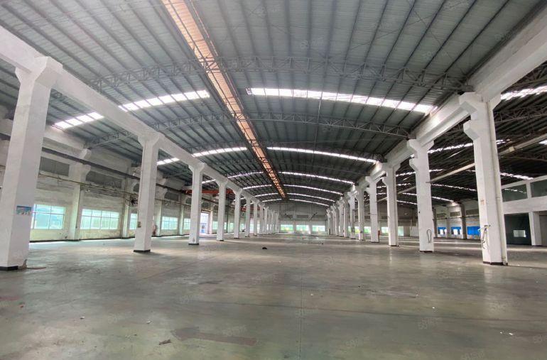 常平业主钢钩单一层6500平高度8米大小可以分租，配套齐全