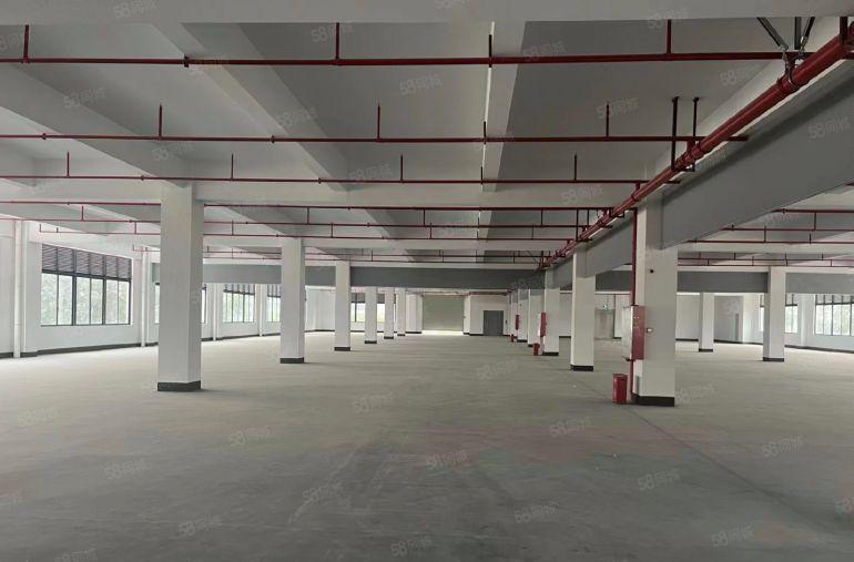 8元常平原房东无尘精装修独院厂房出租一楼到三楼各3000平