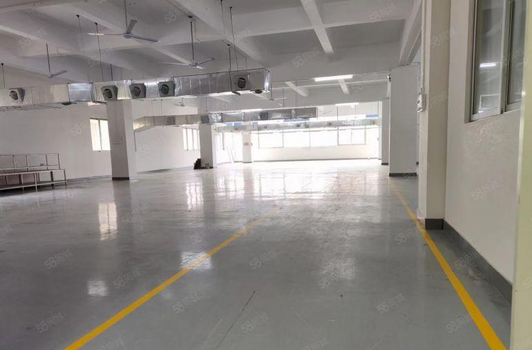 现成装修办公室电梯厂房3楼580平方出租