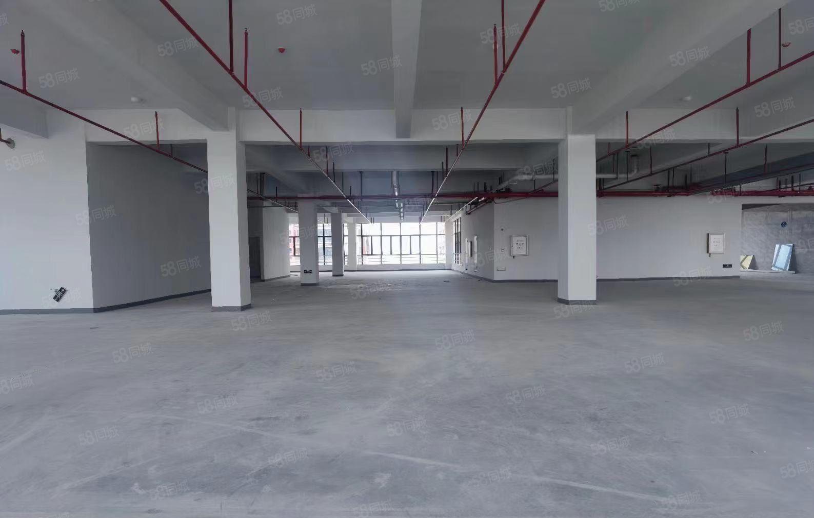 常平高速路口新出红本标准独院25000平方，可分层租