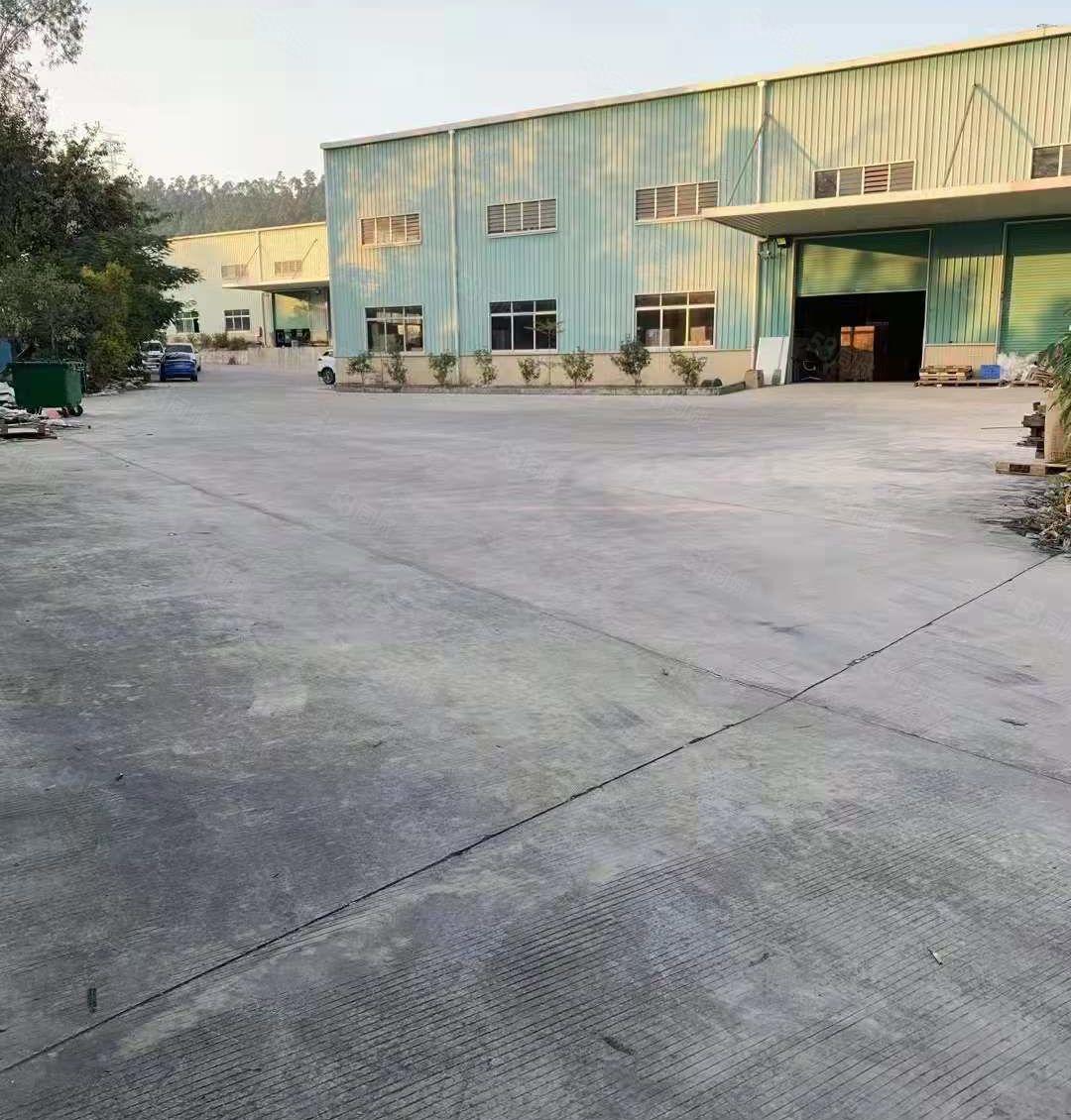 常平新出原房东单一层钢结构厂房招租