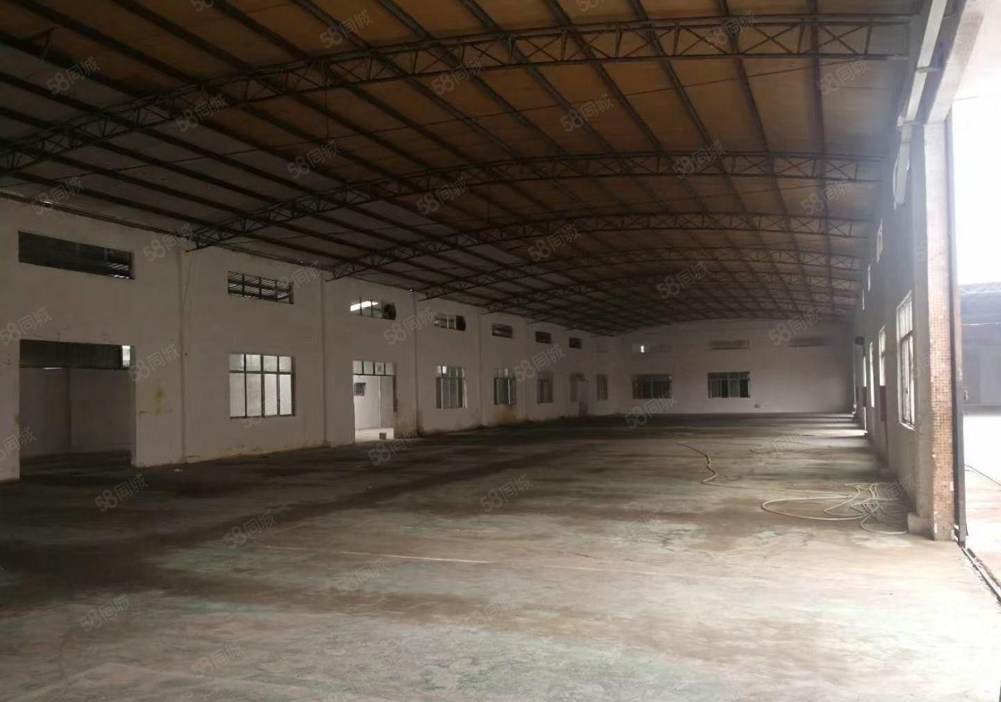 常平槊胶城旁独园钢钩2200平可以分租行业不限价格实惠