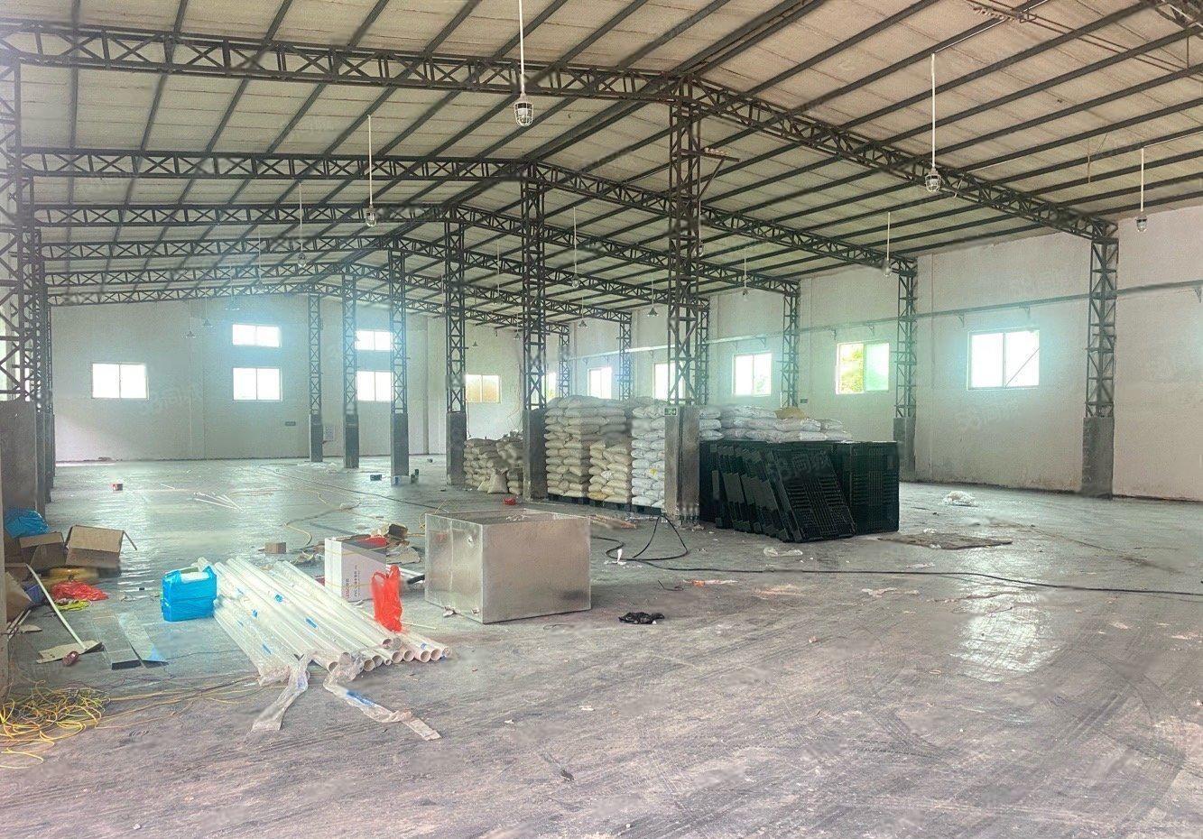 原房东常平漱新会展中心对面大路边新出钢结构单一层厂房出租