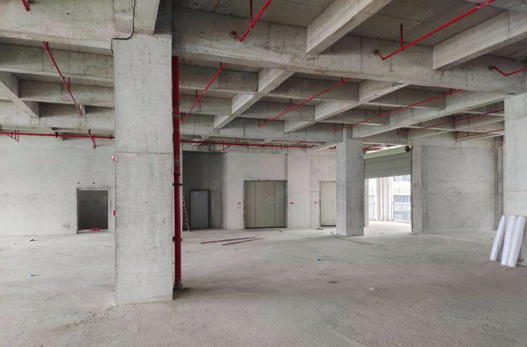 一手开发商十年租约不含公摊全新高标准厂房15元起