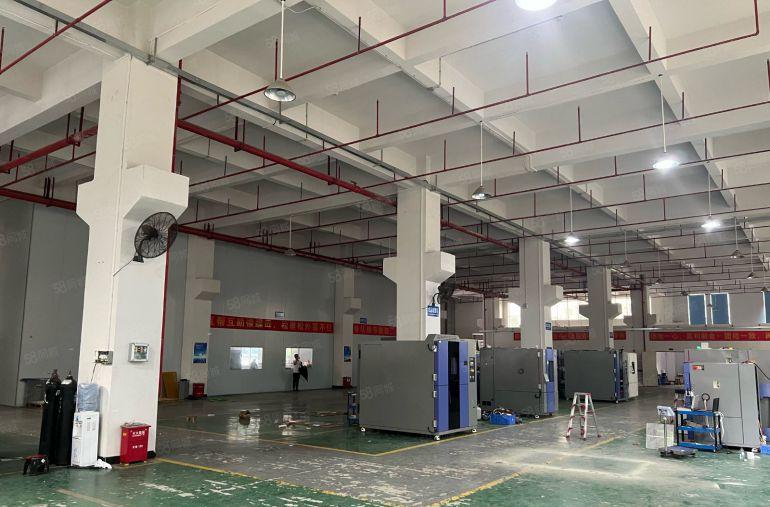 常平土塘原房东7米高一楼2000平方，带牛角，办公室装修