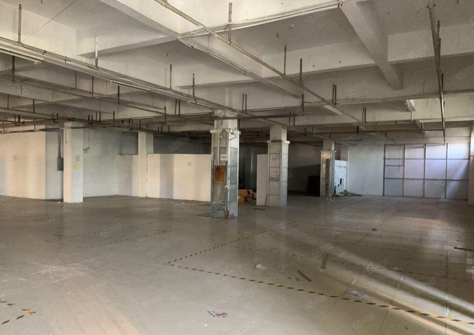 常平标准厂房实际面积出租