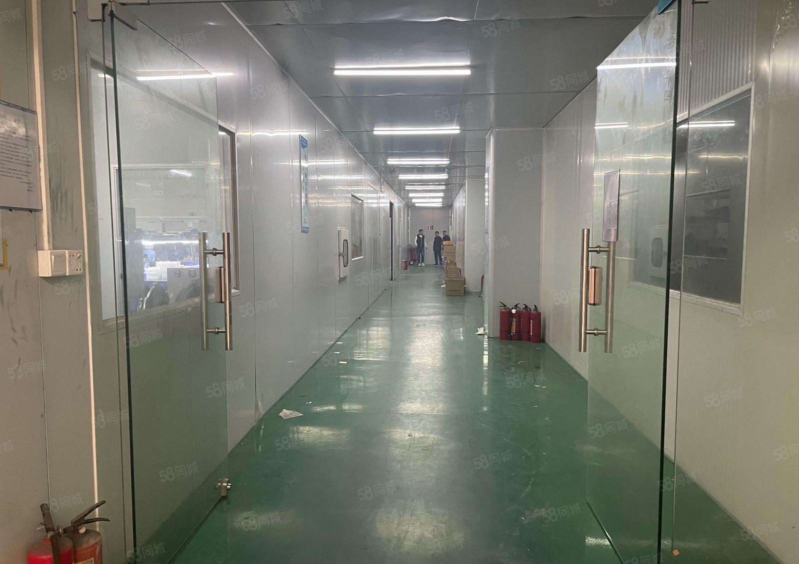 滴水8米常平镇独院钢构新出2100平带现成装修