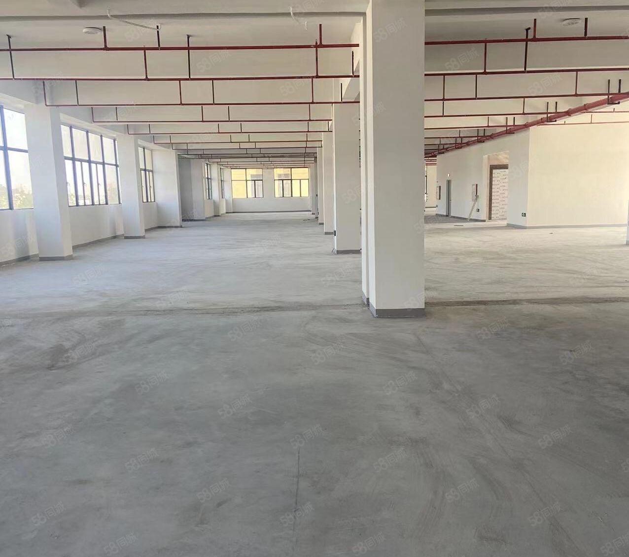 大小分租原房东国有证，玻璃外墙独院厂房12万平方，水电齐全