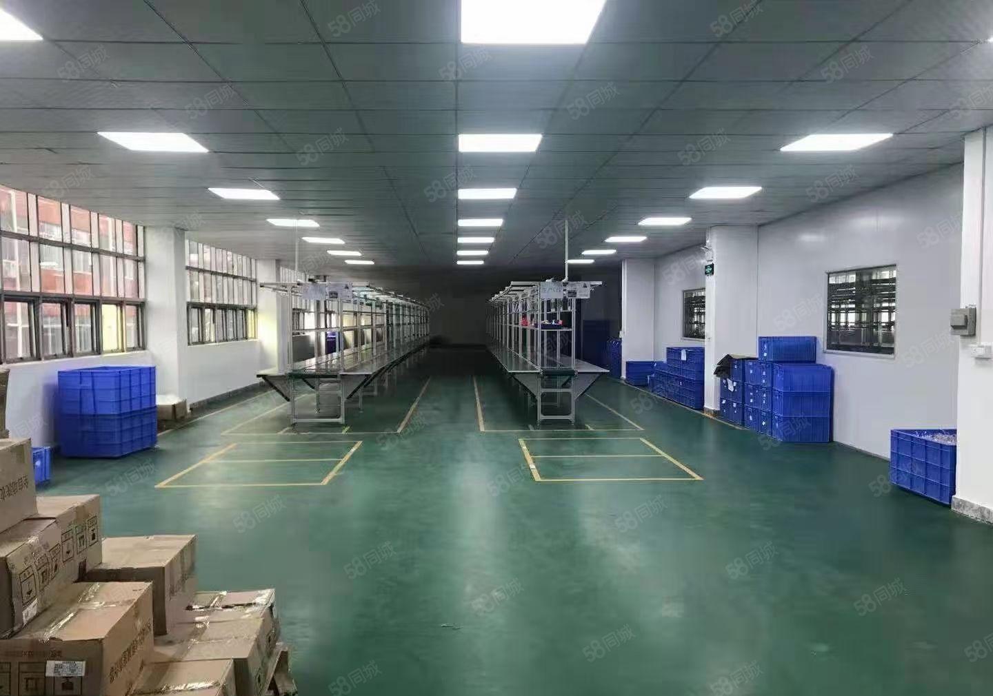 常平镇新出花园独院厂房总面积10000平，空地大水电装修齐全