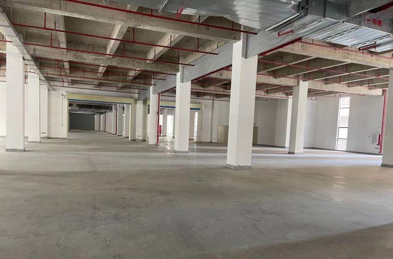 全新红本厂房120000平方10栋有一栋办公楼可以分租