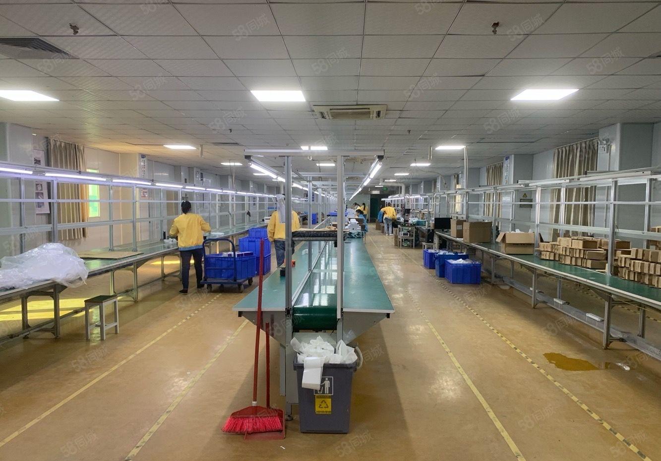 常平新出花园式厂房 实际面积 带现成豪华装修 工业用地。