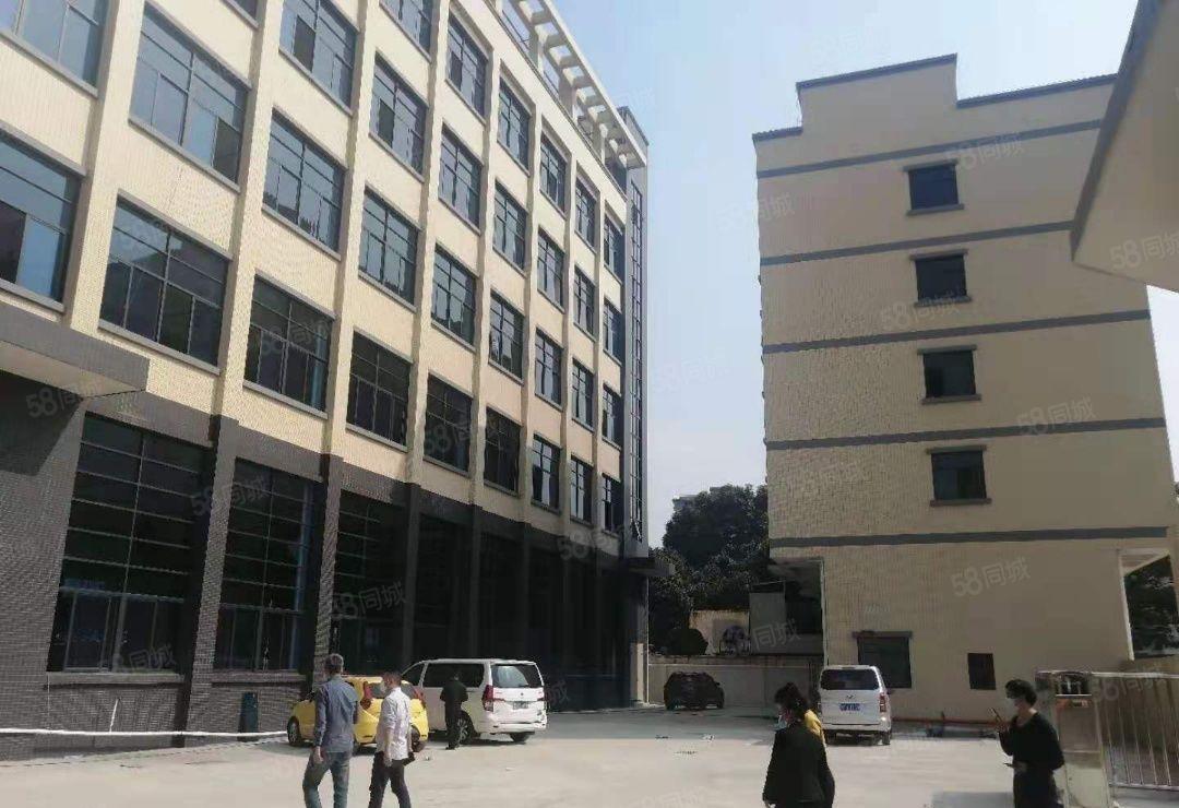 常平镇出原房东独院全新厂房玻璃外观形象漂亮，价格便宜出租