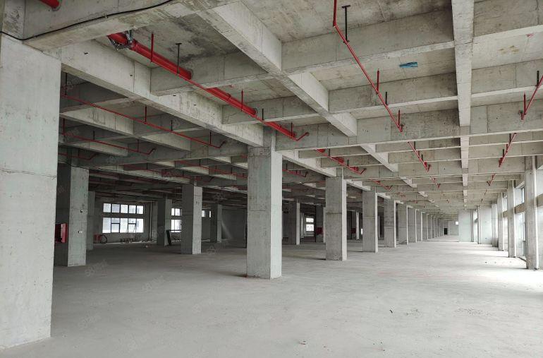 一手开发商十年租约不含公摊全新高标准厂房15元起