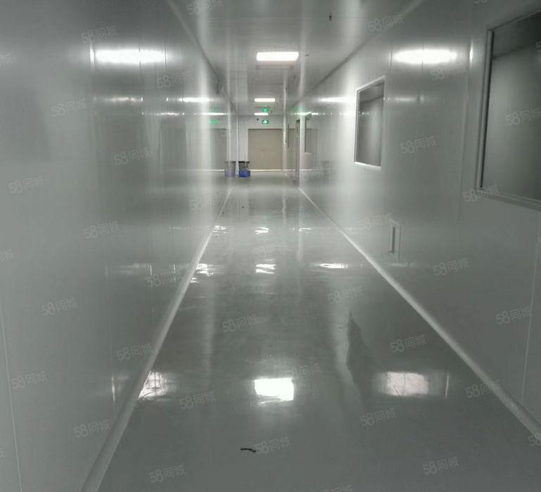 常平白石岗超低价厂房分租楼上一层带无层车间1200平方带装修