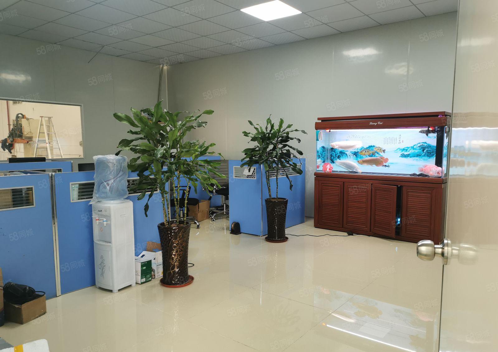 实业客户转让1750平分租1200平都可以 全新装修 高7米