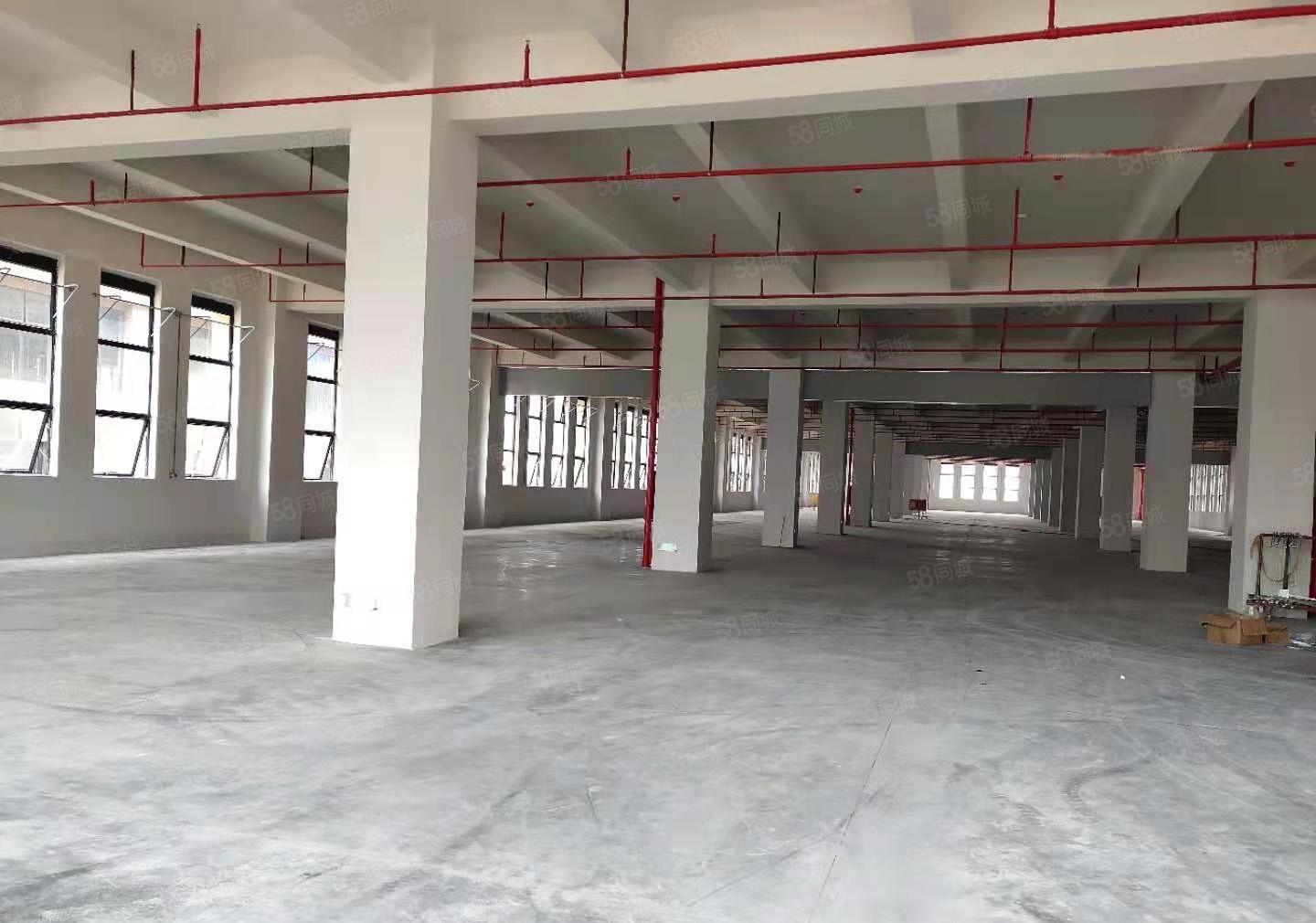 常平全新制造园1至7层单层2千平3栋红本厂房