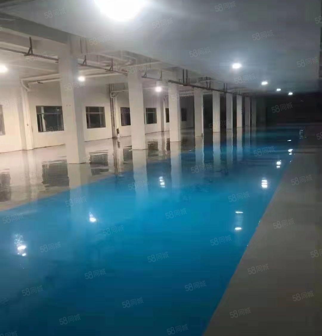 常平木伦新出花园氏厂房二楼2100平方，现成装修地坪漆办公室