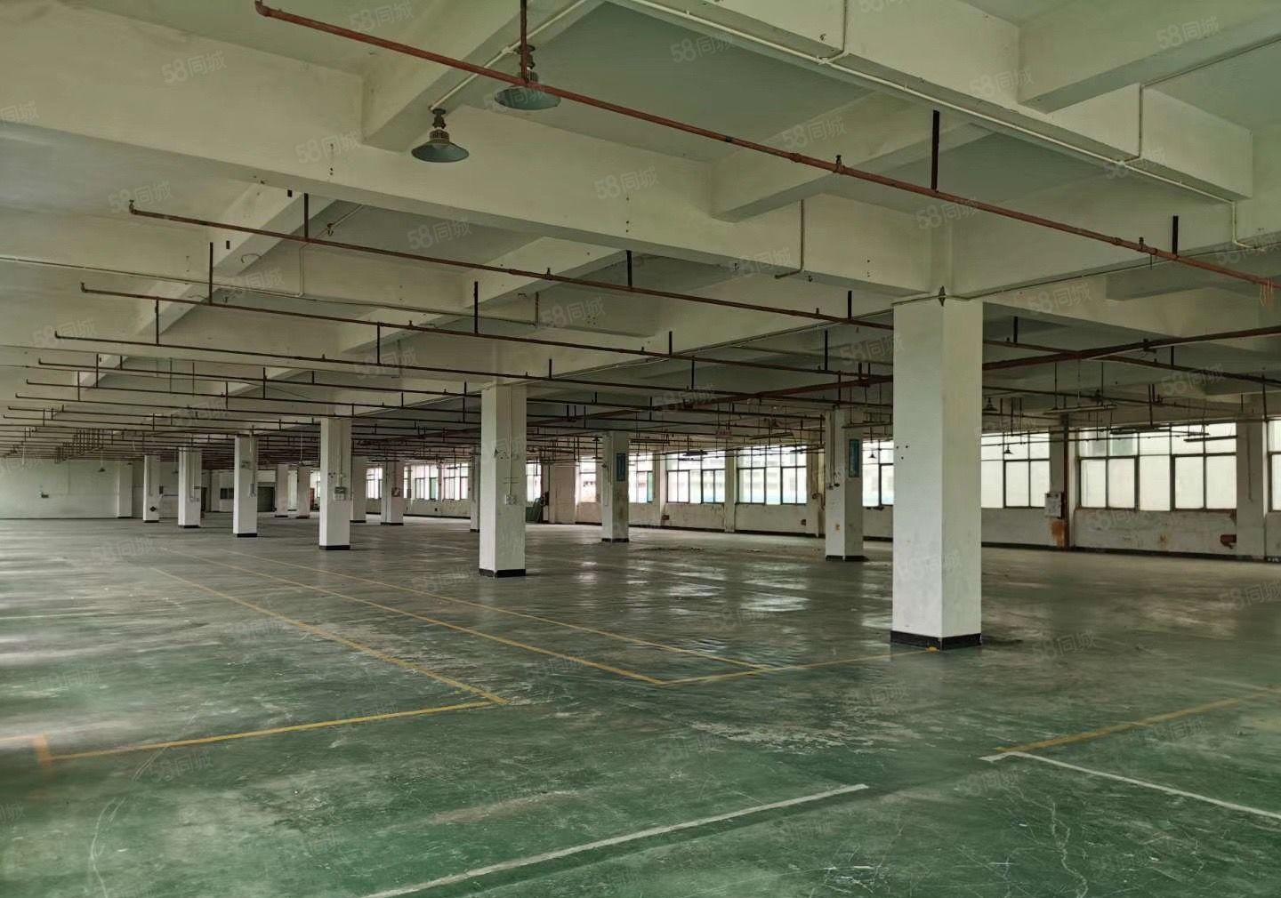 常平园区分租单层面积4500平可分租形象好空地大