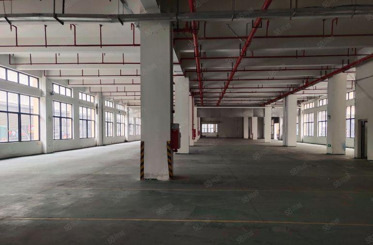 常平镇原房东标准一楼1500平方厂房出租，价格便宜，交通便利