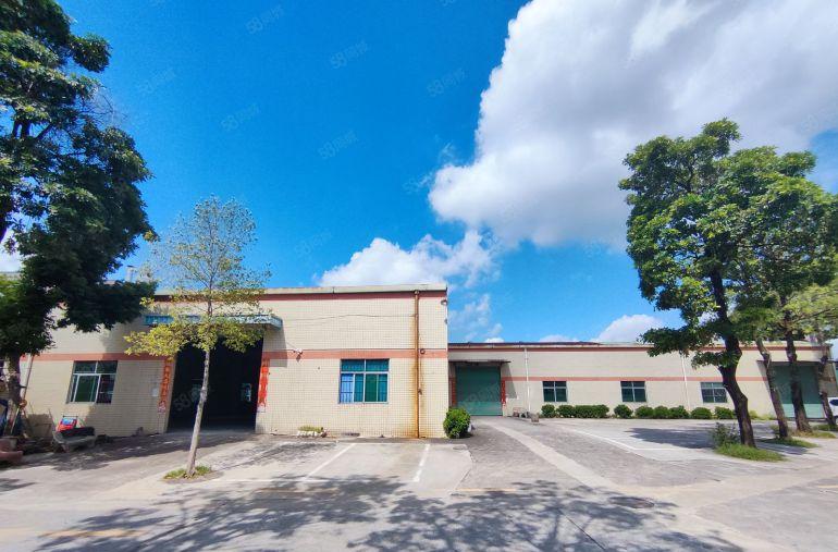 常平原房东单一层独院厂房2000平低价出租，空地超大交通便利