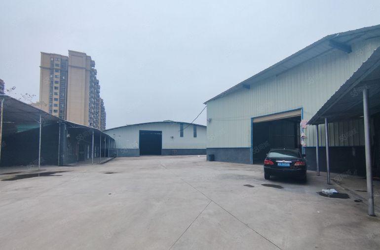 常平新出原房东单一层钢构独院厂房，高度7米，超大空地低价出租