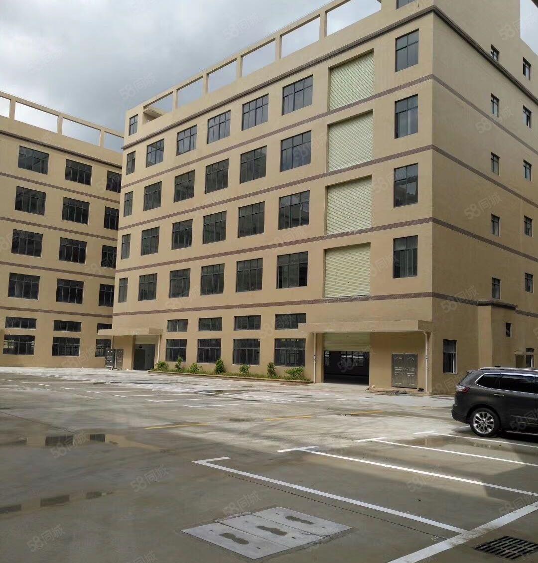 常平镇沙湖口工业园新出二楼4200平方出租500起分