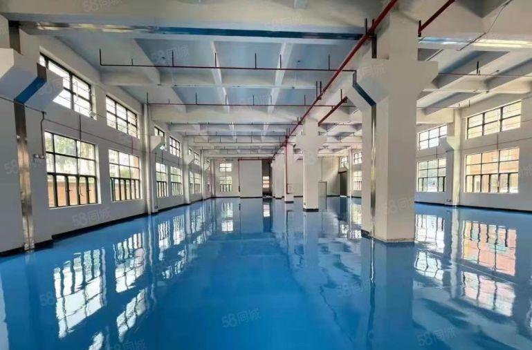 13元常平原房东厂房一楼四楼出租形象漂亮工业用地